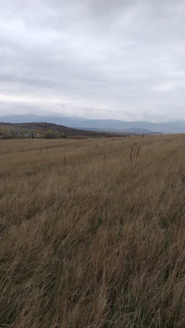 Продава земеделска земя, с. жиленци, област кюстендил