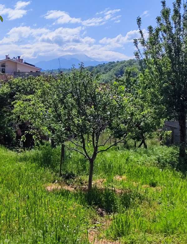 Продава къща, с. покровник, област благоевград