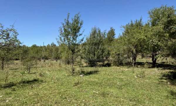 Продава парцел, с. войнежа, област велико търново