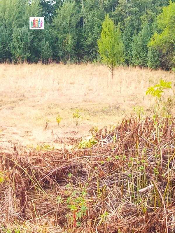 Продава парцел, с. прибой, област перник