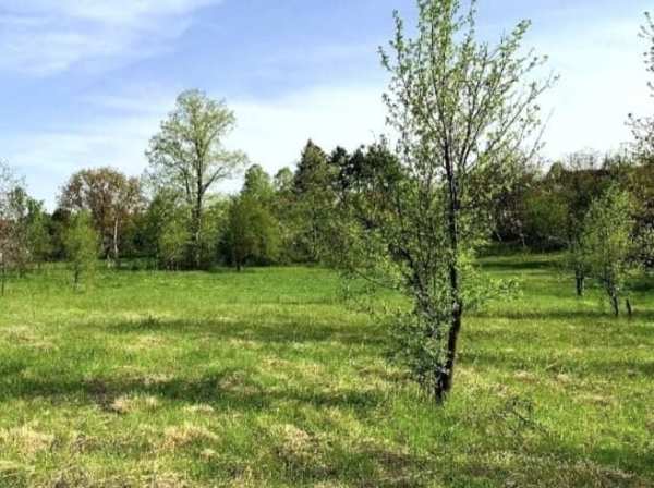 Продава парцел, с. старо село, област ловеч