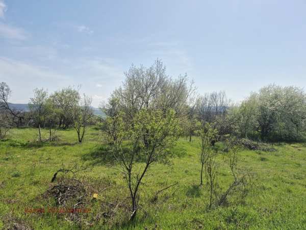 Продава парцел, с. доброглед, област варна