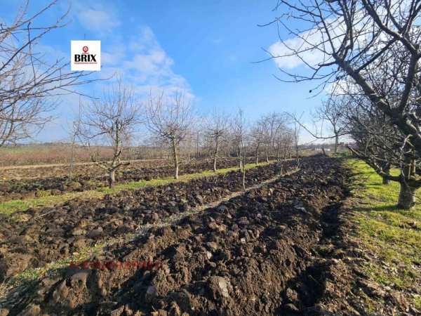 Продава парцел, с. борисово, област русе