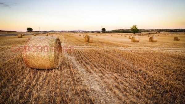Продава земеделска земя, гр. никопол, област плевен